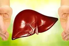 肝功能单纯胆红素升高，吃了很多药都没有效果？医生给你分析病因图片