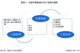2020年中国生物柴油行业发展现状图片