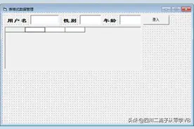 学习VB编程第65天，表格式数据录入与查询图片