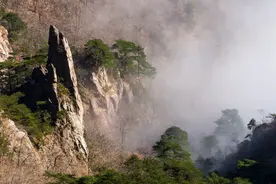 读读这篇文章，“一动无有不动”，或许对你有所启发图片