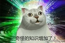 没想到你是这样的寺院狗，下山吃肉还泡妞，住持惊呆了图片