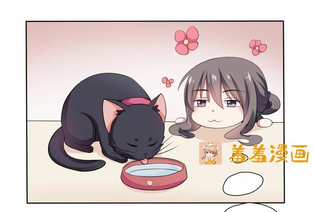 夜路走多了，竟捡到宝，带着巨钻的小黑猫一只