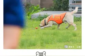 我与你的十个约定图片