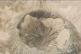 一文看懂《沙丘》电影图片