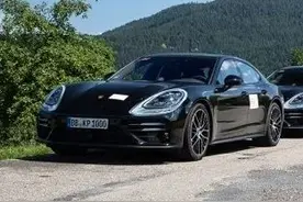 这个厉害了，不愧是青蛙王子，中期改款帕拉梅拉了解一下图片