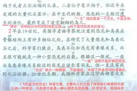 小学语文四年级下册：6 飞向蓝天的恐龙《笔记》图片