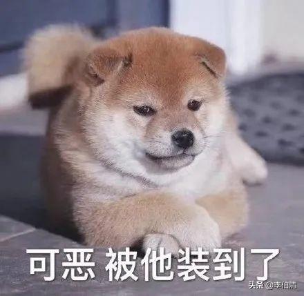 听四川人念英文品牌名，要笑到打鸣