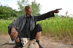 山东82岁老人，独居深山养老，野菜地瓜当主食，养2条小狗作伴图片