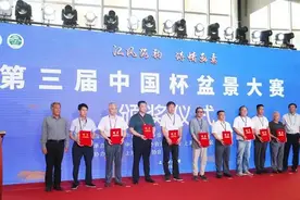 如皋盆景摘得“中国杯盆景大赛”特等奖图片