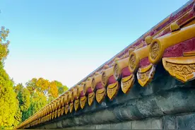 深秋一定要去地坛的理由：一个人，一处北京文学的地标图片