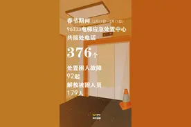 电梯故障就拨96333！图片