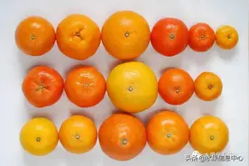 柑橘产地最全图鉴，一份柑橘指南大解析图片