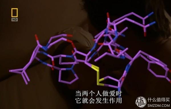好奇两性的奥秘？9部生理知识科普纪录片，从科学角度解读自己