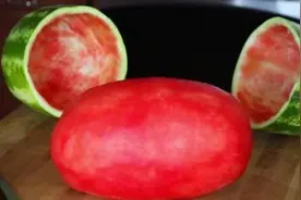 东北爸爸用西瓜“套路”女儿，女儿喝了一口：这味儿有点怪啊图片