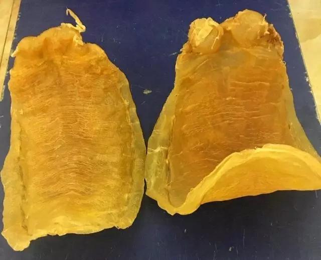 双背鳘鱼胶 2025年双背鳘鱼胶的档次 双背鳘鱼胶 2025年双背鳘鱼胶的档次