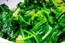菠菜需不需要先焯水图片