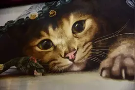 真奇女子也！冬天绣猫热出汗，绣成后网友惊叹：这是真猫图片