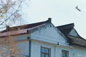 中国战机撞鸟：飞行员37秒3次转向，76米极限弹射，躲过居民区图片