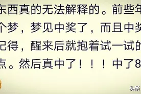 做了个梦，梦到我中奖了，就抱着试试的想法买了点彩票，中了8000图片