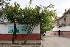 “不怕蛤蟆进家门，就怕三树立门头”，什么意思？有道理吗？图片
