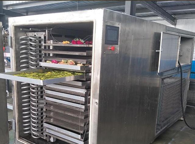 1000块钱买几个海参 海参500克价格表