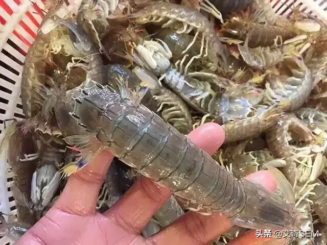 3大平台10个高转化率详情页案例拆解，8000字让高转化率有章可依-第15张图片-90博客网