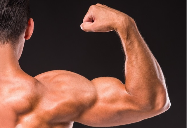 鍙铔嬬櫧璐ㄨ冻澶熷氨鑳藉鑲屽悧锛熻繖 3 绉嶅繀闇€姘ㄥ熀閰告槸鍏抽敭