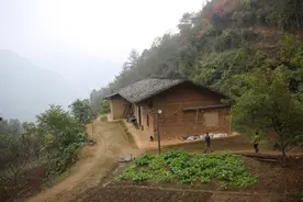 不愿丈夫外出当民工，夫妻靠山吃山苦中作乐，称收入可观比打工强图片
