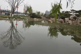 我所经历过的的拆迁图片