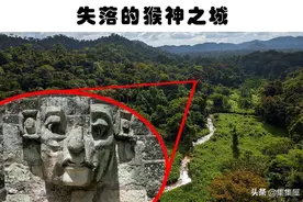 丛林里的生物发现：人类在丛林里找到10个足够可怕的发现图片