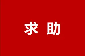 美航司裁员9万，我国航司不裁员图片