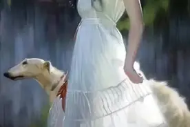 大山里的女孩(当代诗歌)图片