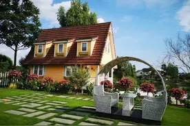 不断折腾的700㎡，7年的花园时光图片