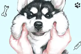 深圳犬只电子芯片注射指引图片
