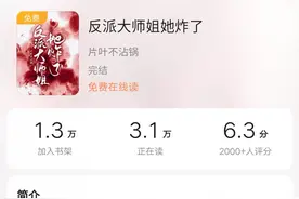 仙门第一剑宗的大师姐《反派大师姐她炸了》图片