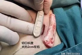 肋软骨鼻是真的香？小心被灌“迷魂汤”图片