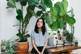 9种“健康花”，客厅一放，吸废气又高档，旺家更旺人图片