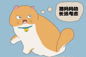 猫妈妈有趣的喂食现象，幼猫被大猫用心培养图片