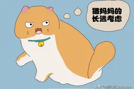 猫妈妈有趣的喂食现象，幼猫被大猫用心培养图片