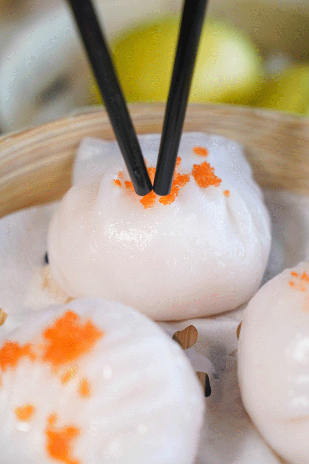 花胶与牛展能同炖吗 2026年花胶可以和牛骨一起煲汤吗