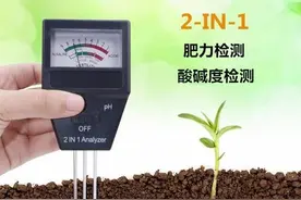 果树缺磷难成花！但磷肥补的多不如补的巧图片