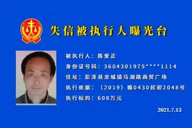 最高608万！九江最新一批失信被执行人曝光图片