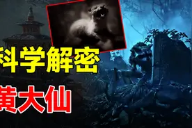农村人人害怕的黄鼠狼，一招惹就“附体”？现代科学做出解释图片