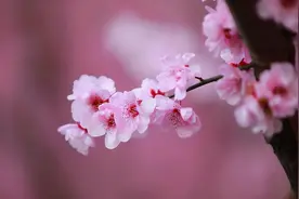 知己，是“相逢恨晚”的退而求其次图片