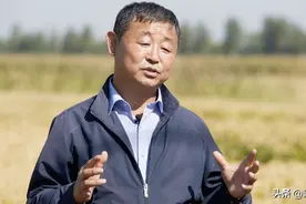 只有200多户村民的小山村，如何年入600百万？图片