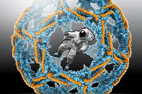 细胞历险记（三）| 网格牢笼图片