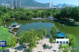 视频丨全国文明城市创建2019年测评结果揭晓！泰安位居全国第十位、全省第二位图片