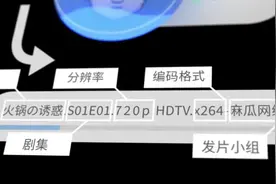 扒一扒那些盗版电影的行业内幕，你知道多少？图片