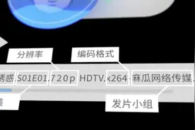 扒一扒那些盗版电影的行业内幕，你知道多少？图片