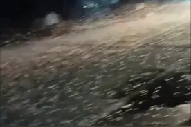 河南邓州惊现飞虫集聚漫天飞舞如“雪花”，专家：正常现象，对农作物无害图片